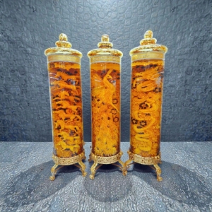 binh-ruou-sam-long-phung-sum-vay-loai-70-lit-1binh